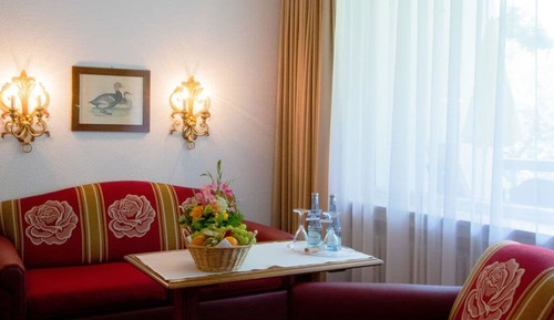 Comfort Double Room, Non Smoking, Mountain View