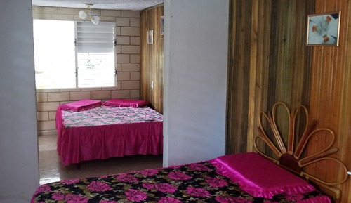 Basic Double or Twin Room