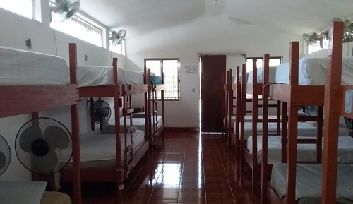 Basic Shared Dormitory, Mixed Dorm (16 single beds)