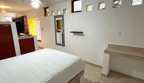 Executive Apartment, 1 Queen Bed, Refrigerator & Microwave
