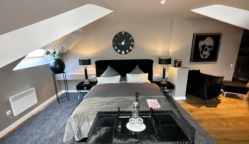 Superior Studio Suite, 1 Queen Bed