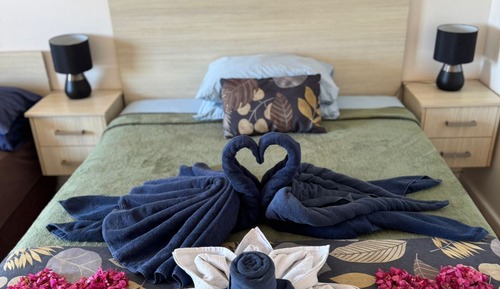 Premium Room, Sea View Pet Friendly