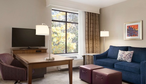 Studio, 1 King Bed with Sofa bed, Refrigerator & Microwave (Wet bar)
