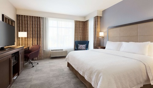 Studio, 1 King Bed with Sofa bed, Accessible, Bathtub (Mobility & Hearing)