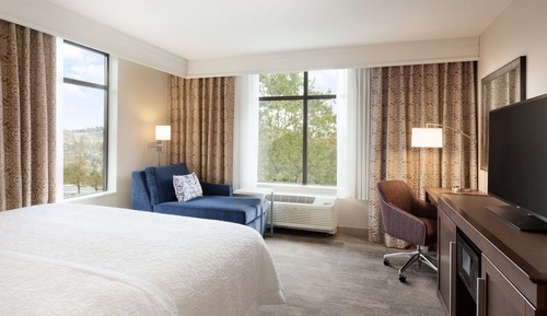 Room, 1 King Bed, Refrigerator & Microwave
