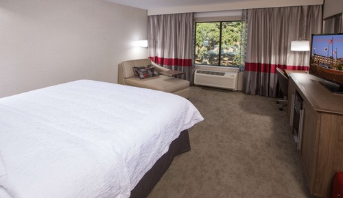 Room, 1 King Bed, Accessible, Non Smoking (Hearing)