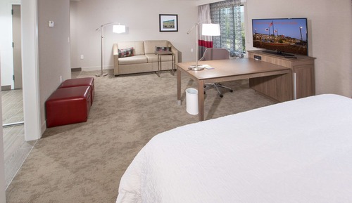 Studio, 1 King Bed, Accessible, Non Smoking (Roll-in Shower)