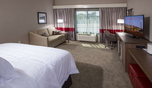 Room, 1 King Bed with Sofa bed, Non Smoking, Refrigerator & Microwave