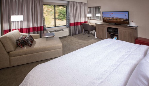 Room, 1 King Bed, Refrigerator & Microwave, Mountain View