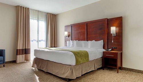 Suite, 1 King Bed with Sofa bed, Non Smoking