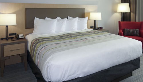 Room, 1 King Bed, Accessible, Non Smoking (Rollin Shower)