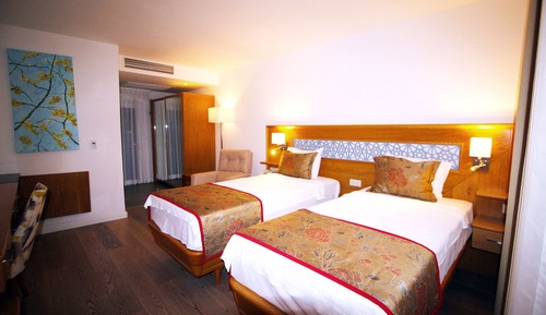 Deluxe Twin Room, 1 Bedroom