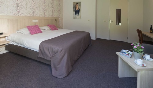 Deluxe Twin Room, Terrace