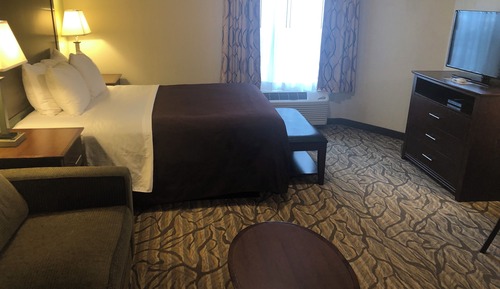 Suite, 1 Queen Bed