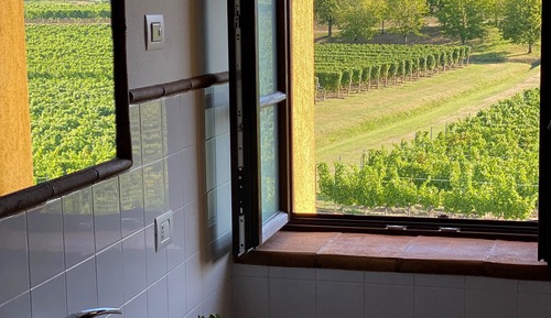 Double Room, Vineyard View