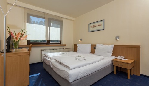 Standard Double Room, 1 Bedroom, Mountain View