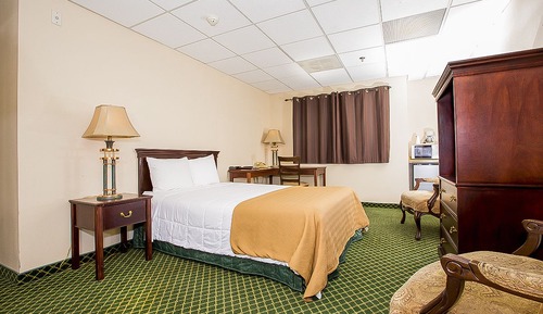 Room, 1 Queen Bed