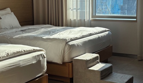Companion room for dogs