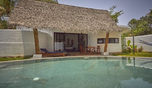 Blue pearl with plunge pool 