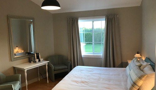 Room, 1 King Bed
