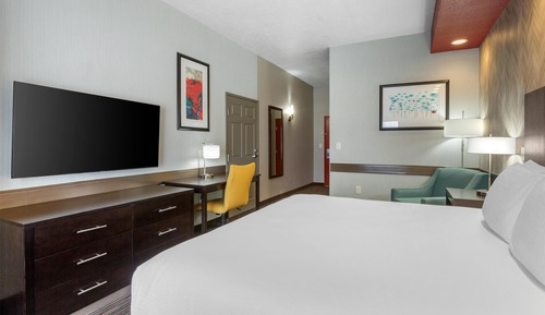 Standard Room, 1 King Bed, Accessible, Non Smoking