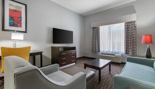 Suite, 1 King Bed, Accessible, Kitchen (with Sofabed)