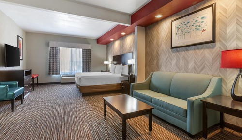 Suite, 1 King Bed, Non Smoking, Refrigerator & Microwave (with Sofabed)