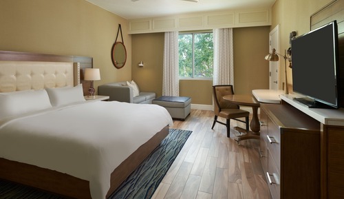 Room, 1 King Bed, Non Smoking (Mobility Accessible, Roll-in Shower)