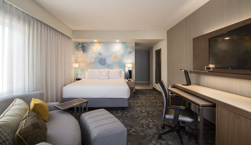 Room, 1 King Bed