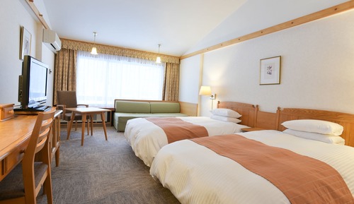 Deluxe Twin Room
