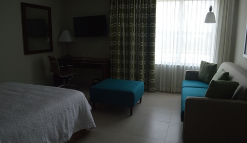Studio, 1 Queen Bed, Refrigerator