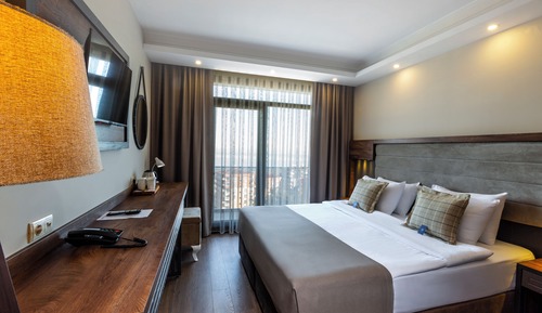 Deluxe Double or Twin Room, Balcony, City View
