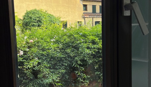 Standard Room, Garden View