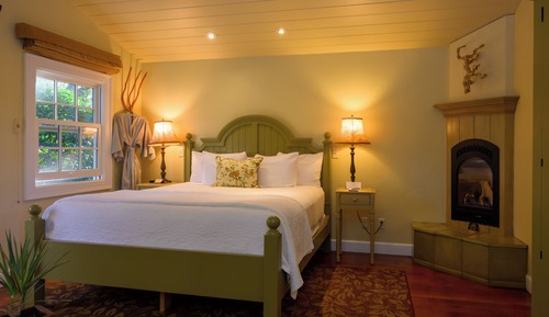 Luxury Single Room, Courtyard View