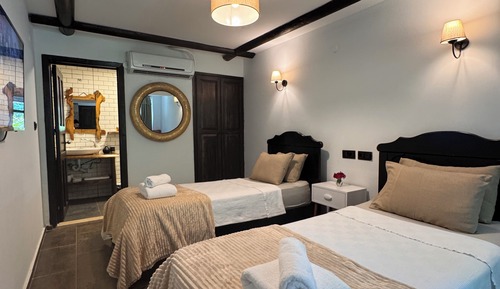 Superior Twin Room, Mountain View