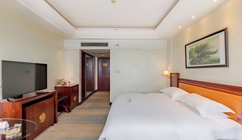 Comfort Single Room