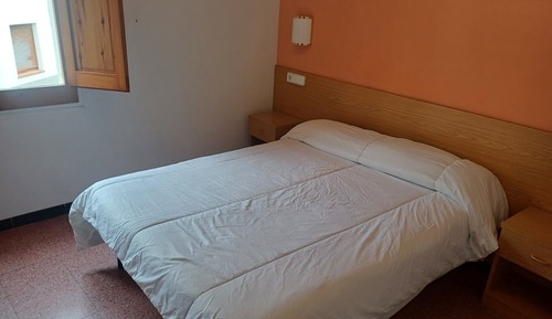 Basic Double or Twin Room