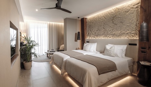 Deluxe Double or Twin Room, Valley View