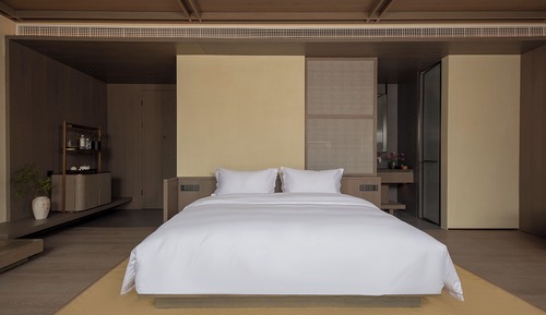 Luxury Apartment