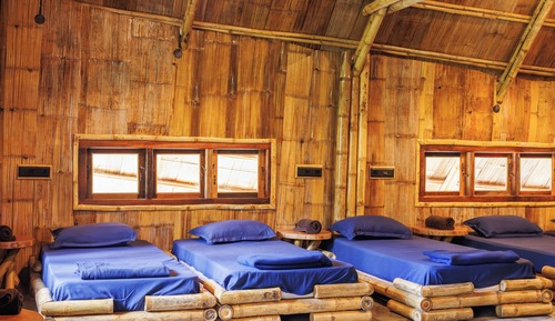 Premium Shared Dormitory