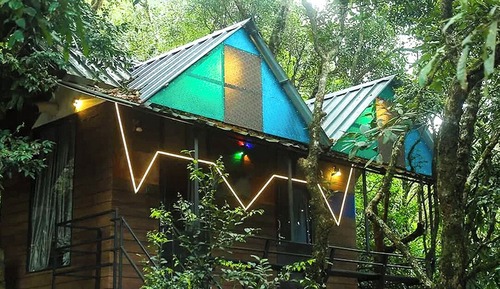 Classic Cabin