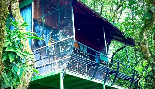Classic Cabin