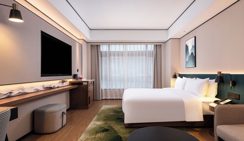 Room, 1 King Bed