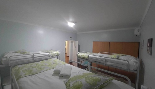 Classic Shared Dormitory