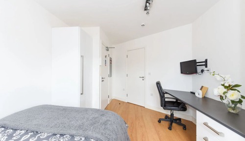 Single Room, Non Smoking