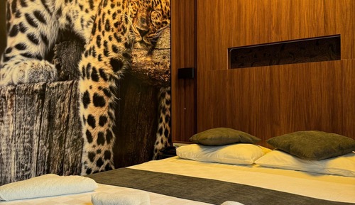 Superior Double Room Single Use