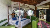 Comfort Studio, Garden View