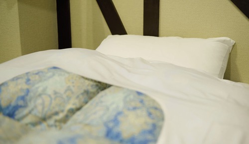 Japanese-style Room for 1-3 Guests with Shower and Toilet, Shared Bath [Non-smoking]