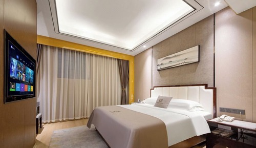 Comfort Single Room