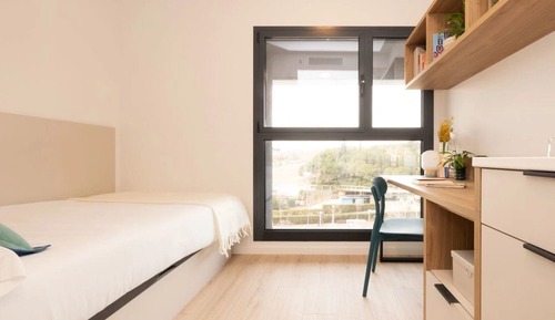 Single Room, Non Smoking